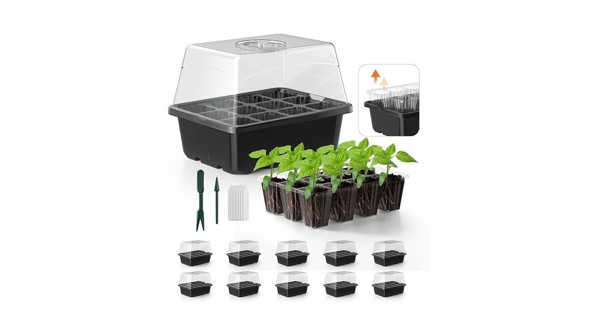 Verified image for post 188168