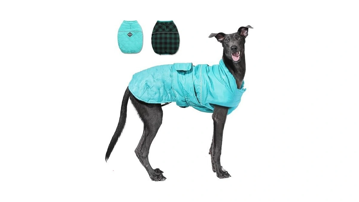 Verified image for post 188206