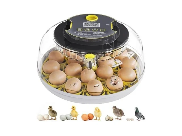 Ibkinxx Incubator For Hatching Eggs-18 Egg Capacity… Code