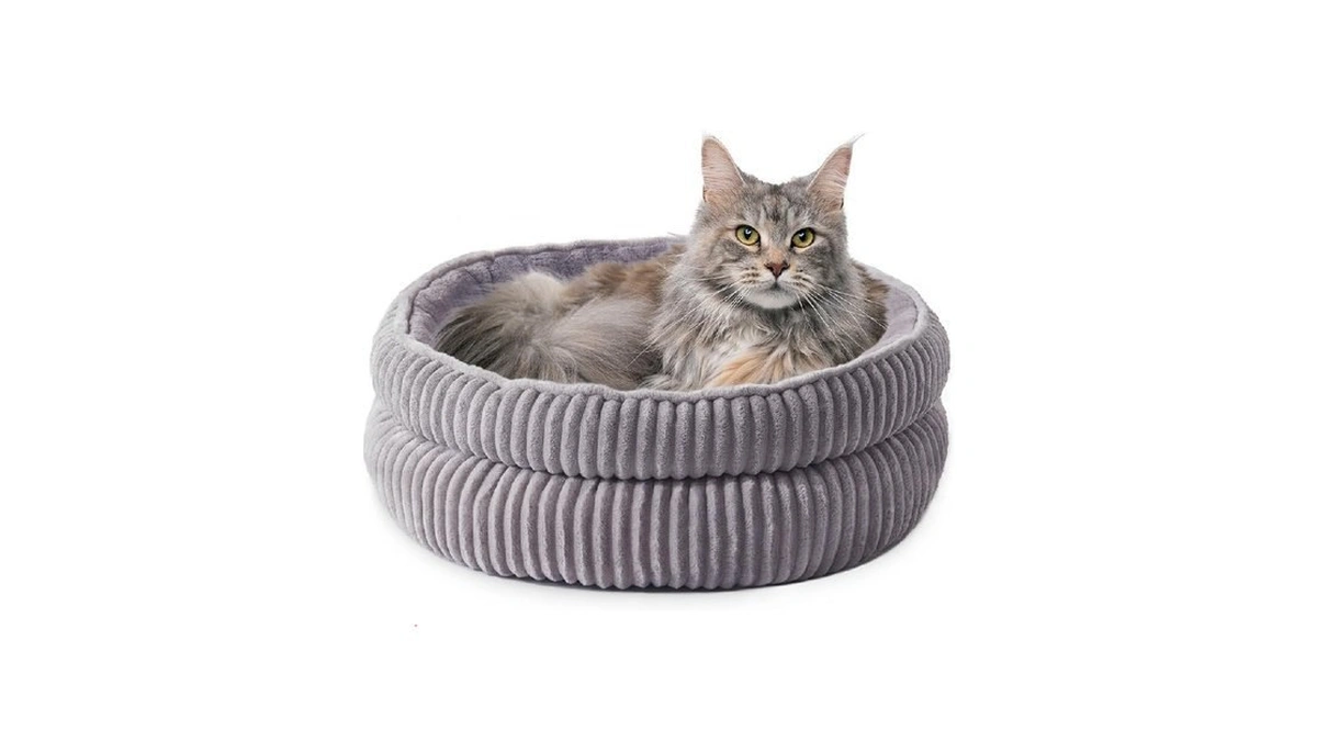 Verified image for post 191010