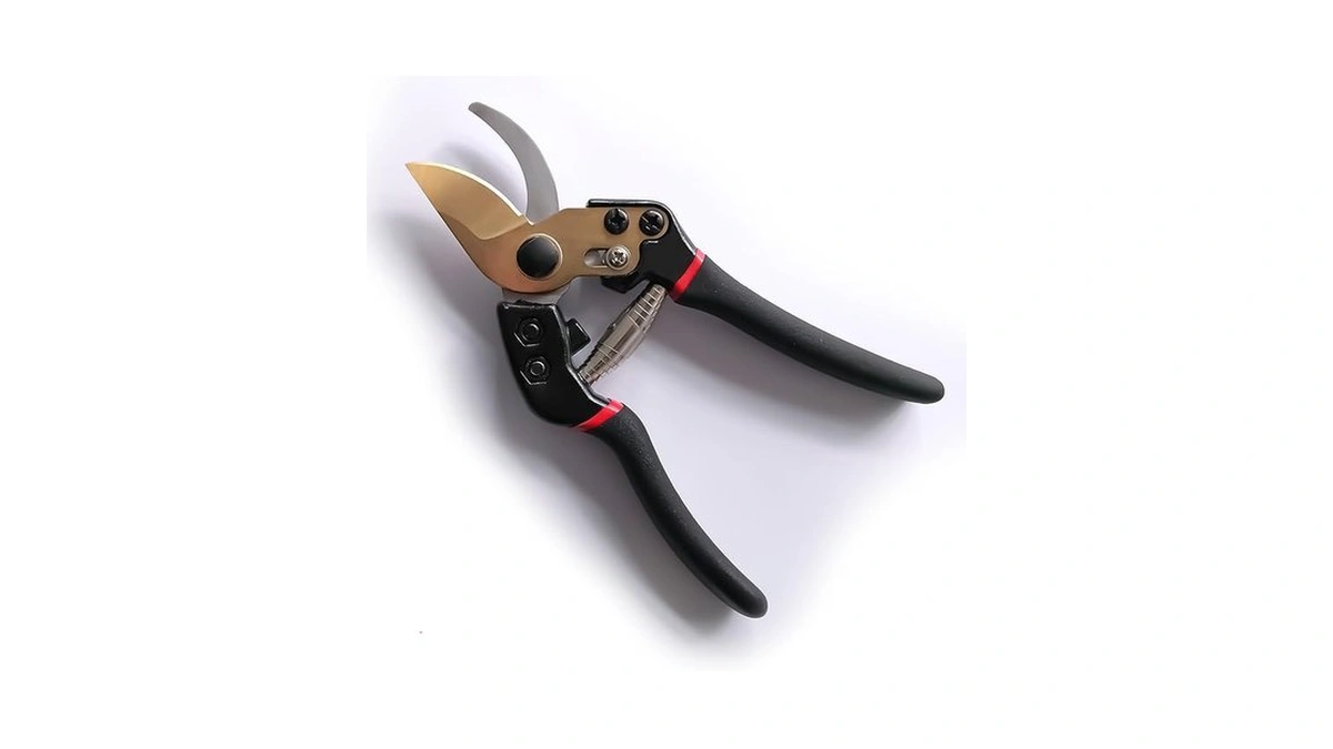 Verified image for post 191012