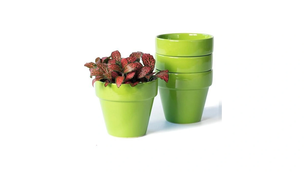 Verified image for post 191594