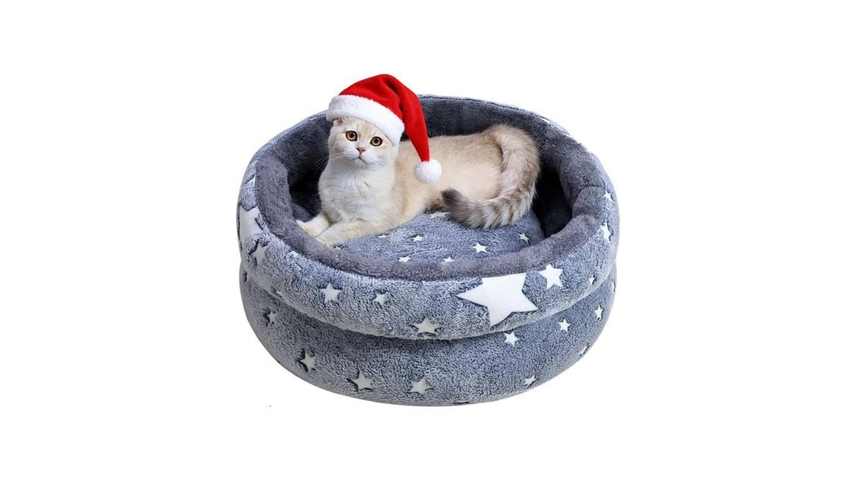 Verified image for post 193936