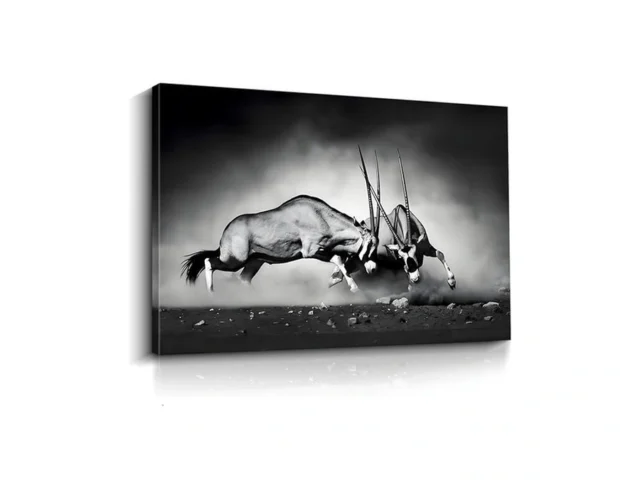 Monochrome Wildlife Battle Canvas Wall Art Framed… Code
