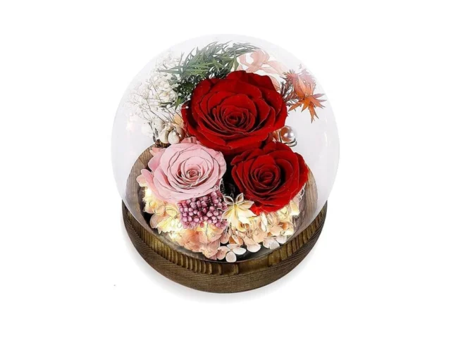 Luxbrand Preserved Flower For Delivery Prime… Code