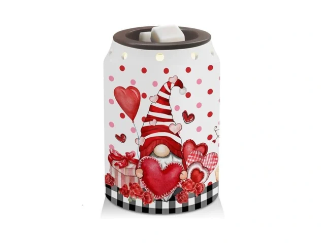 Teddrop Valentines Day Decorations Gnomes… Code