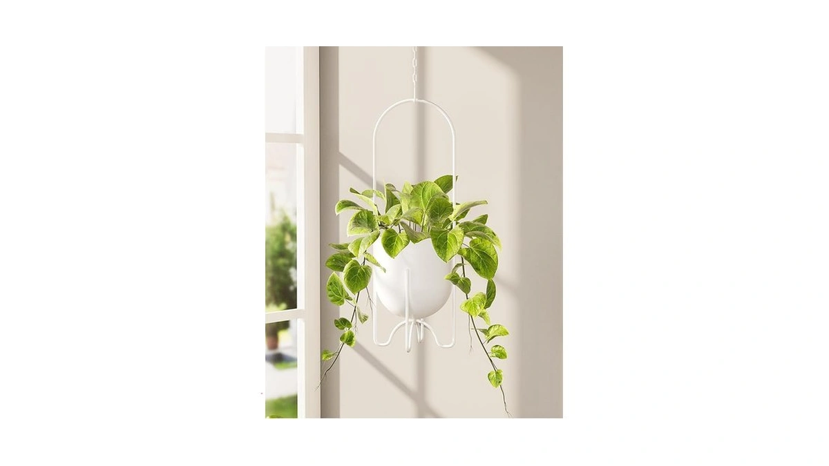 Verified image for post 195060