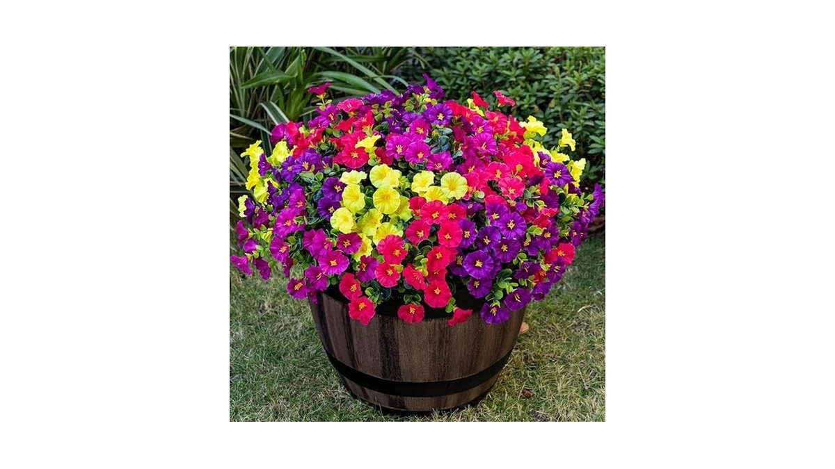 Verified image for post 195184