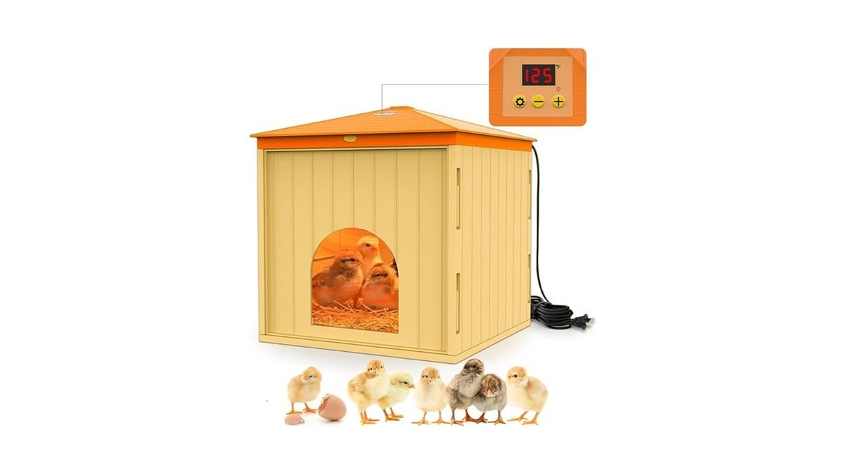 Verified image for post 195756