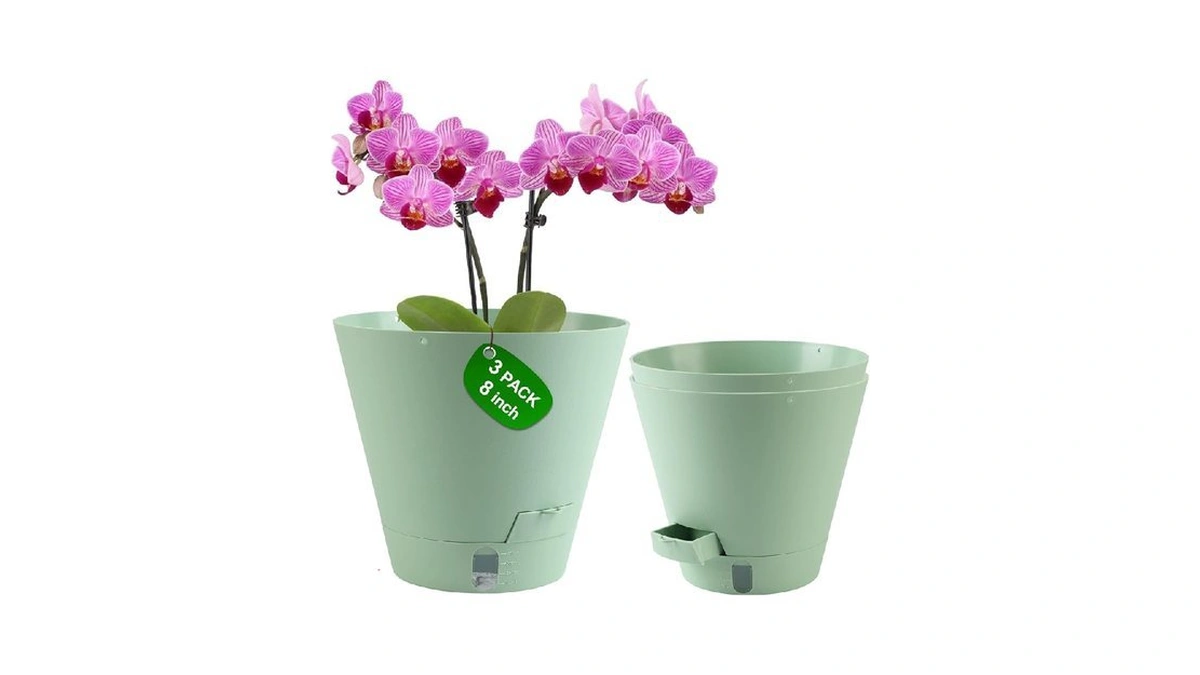 Verified image for post 197638