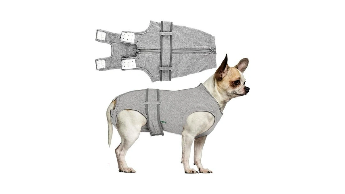 Verified image for post 198570