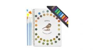 Dancart Watercolor Kit With Outlines Watercolor… Code