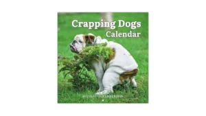 2026 Wall Calendar 12 Monthly Pooping Dogs Calendar… Code