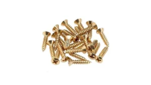Fender Pickguard Control Plate Mounting Screws – Gold Coupon