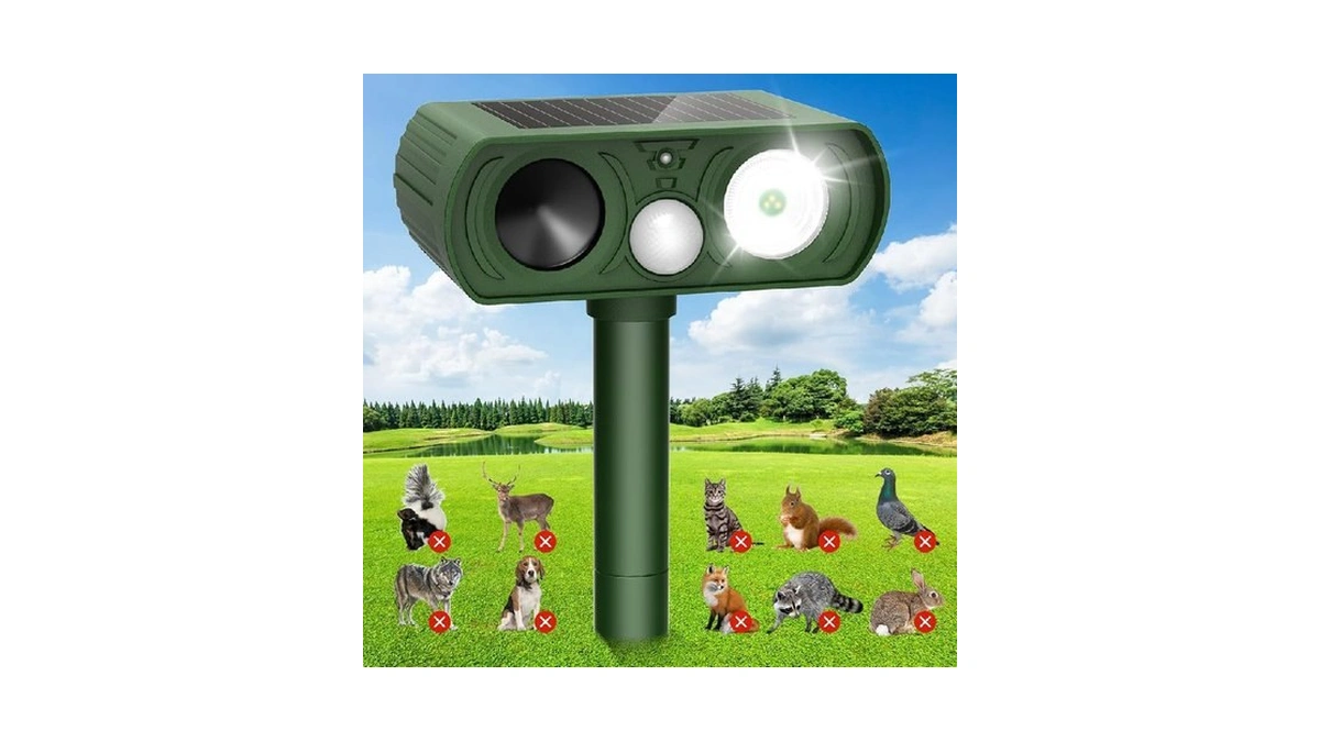 Verified image for post 200448