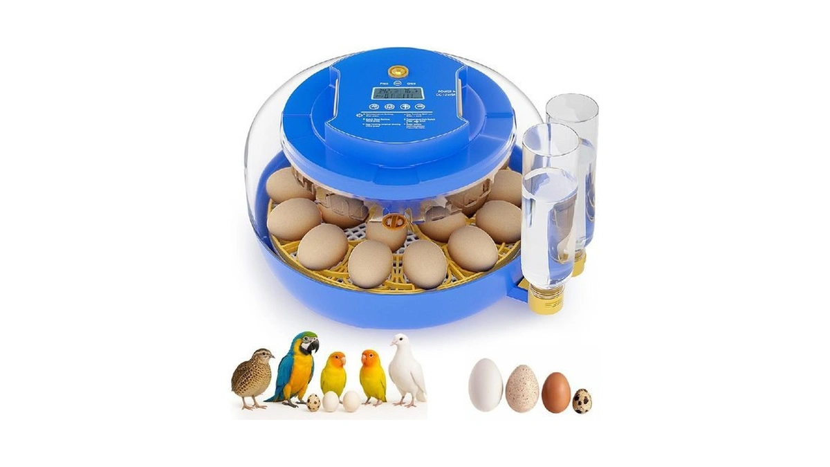 Verified image for post 202574