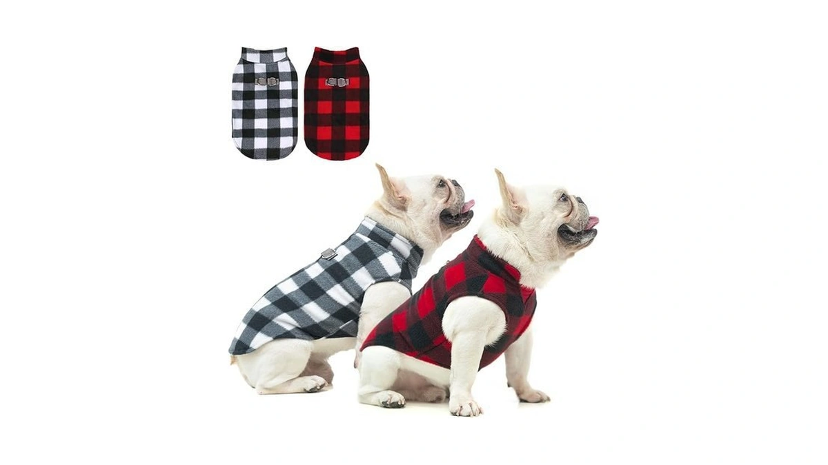 Verified image for post 202610