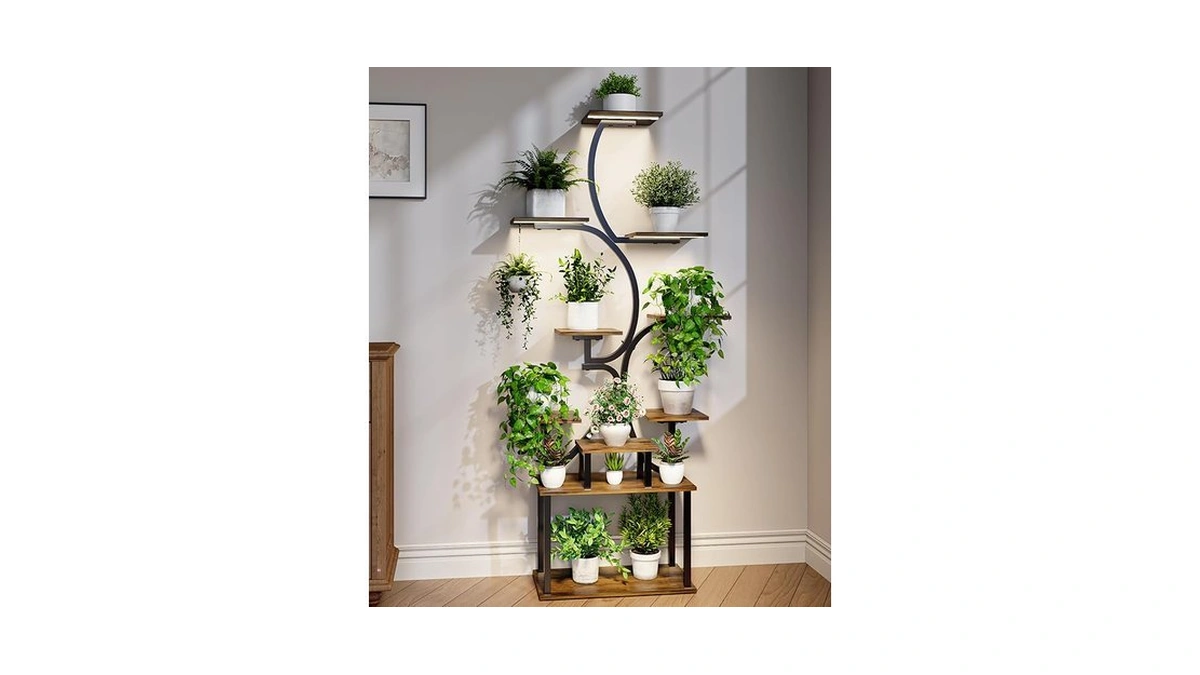 Verified image for post 204580