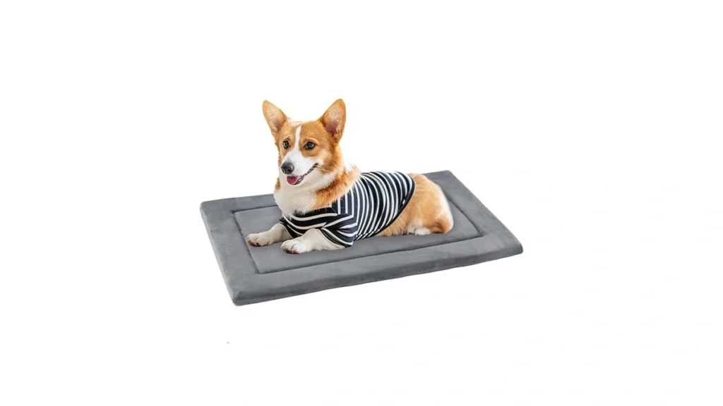 Verified image for post 204824