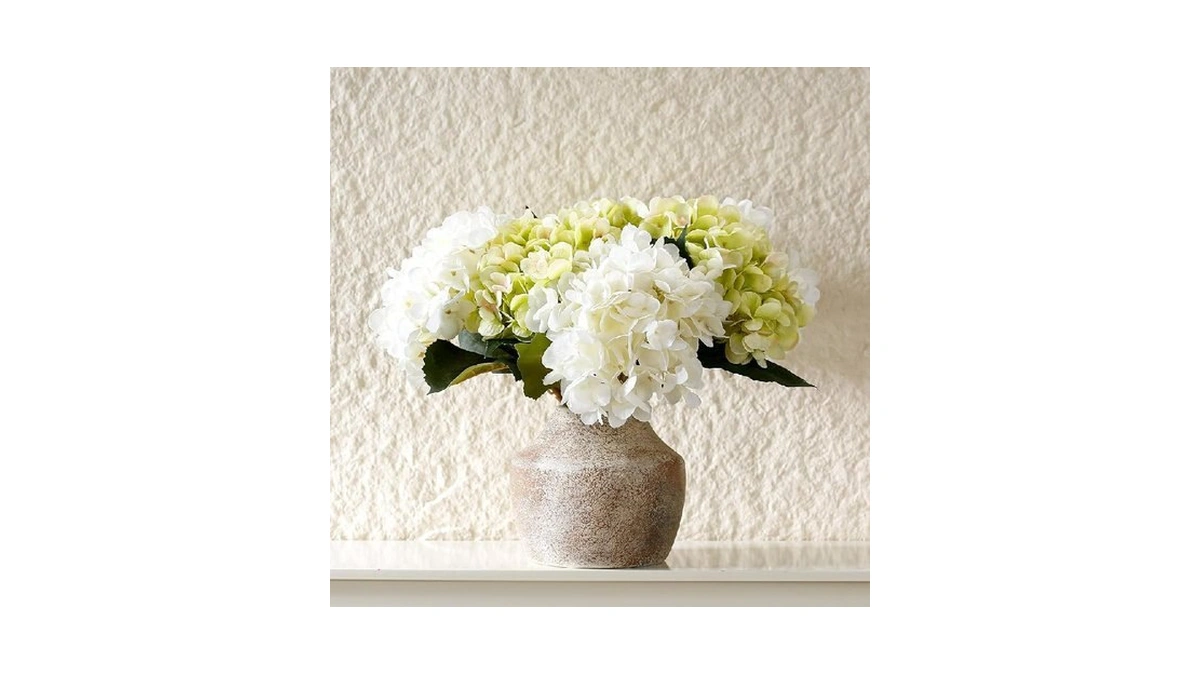 Verified image for post 206004