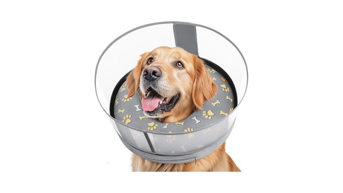 Verified image for post 206014