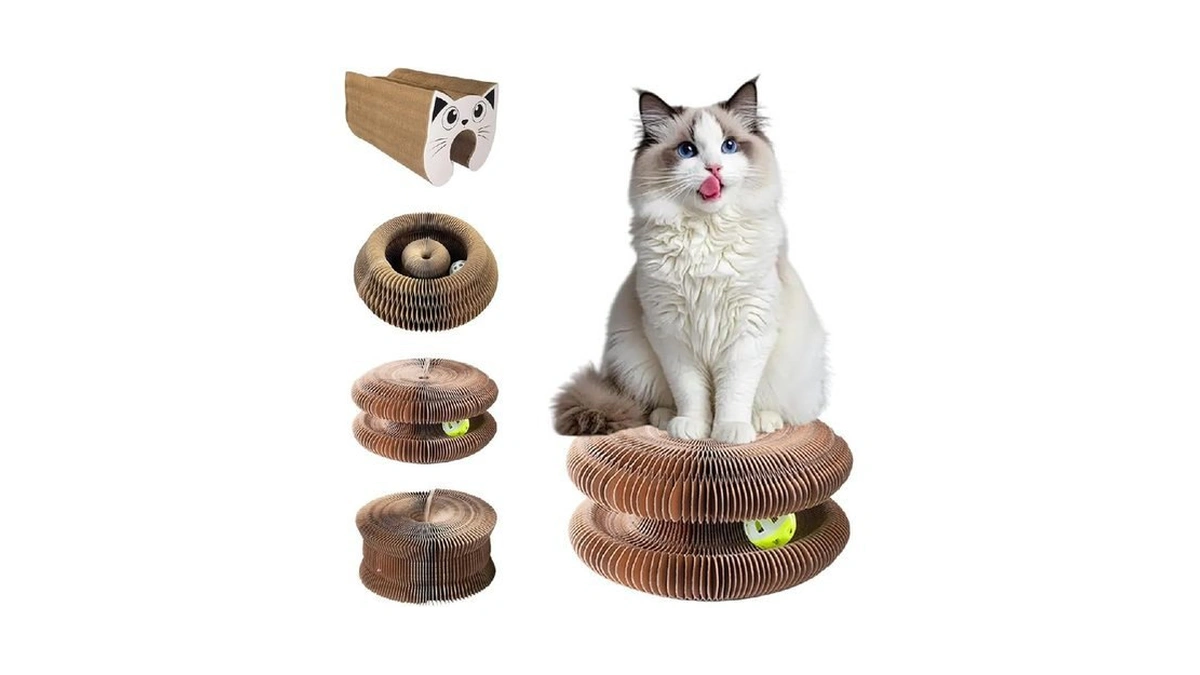 Verified image for post 206912