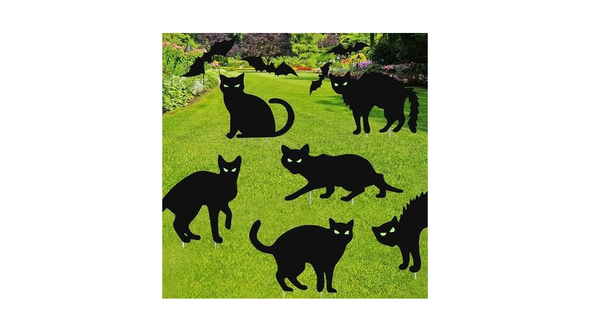 Verified image for post 207764