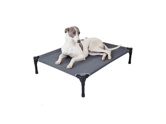 Pettycare Elevated Outdoor Dog Bed – Raised Cot For… Code