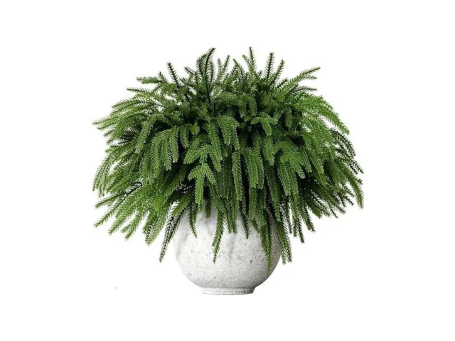 Uoromi 12 Pcs 18 Inch Real Touch Norfolk Pine Stems…