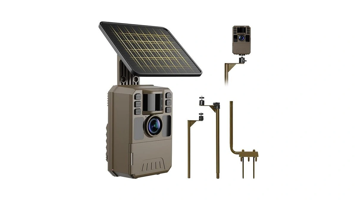 Verified image for post 208886