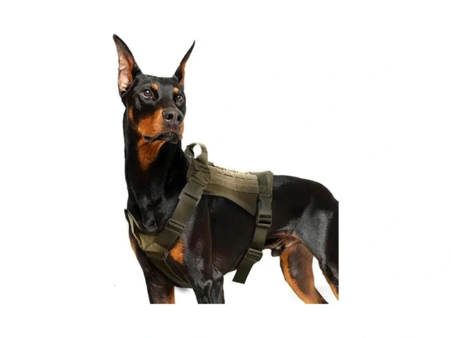 Tactical Dog Harness For Large Dogs Adjustable No… Coupon