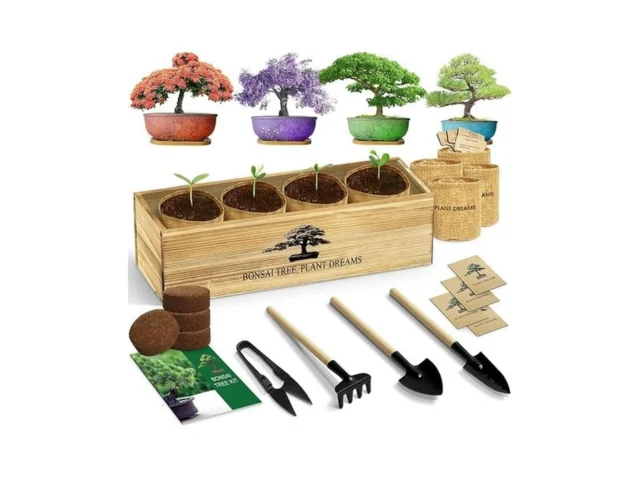 Luojibie Bonsai Tree Kit Complete Bonzai Tree… Code