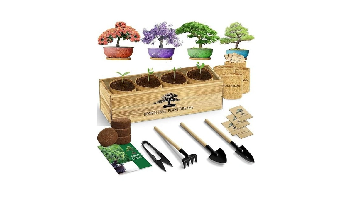 Verified image for post 210052