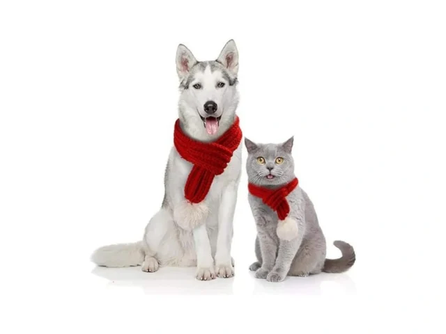 Nacoco Christmas Dog Knitted Scarf With White… Code