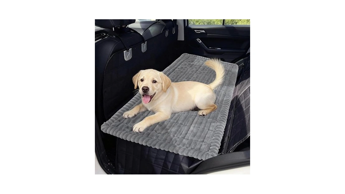 Verified image for post 211406