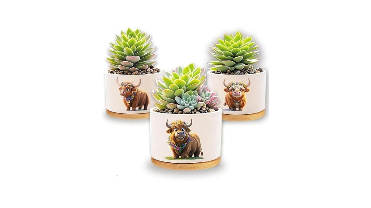 Verified image for post 211682