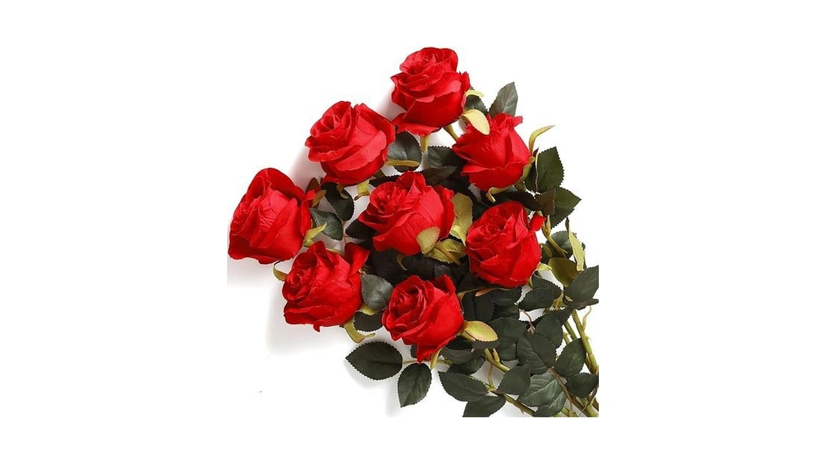 Verified image for post 211886