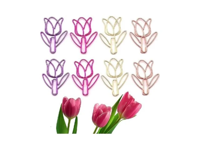 Upquzzfy 80 Pcs Cute Paper Clips Set With Box… Code