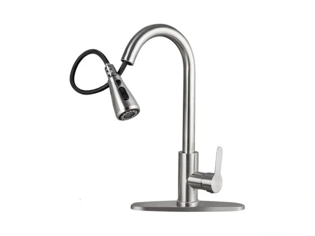 Ruhekⅴ Kitchen Sink Faucet With Pull Down Sprayer… Code