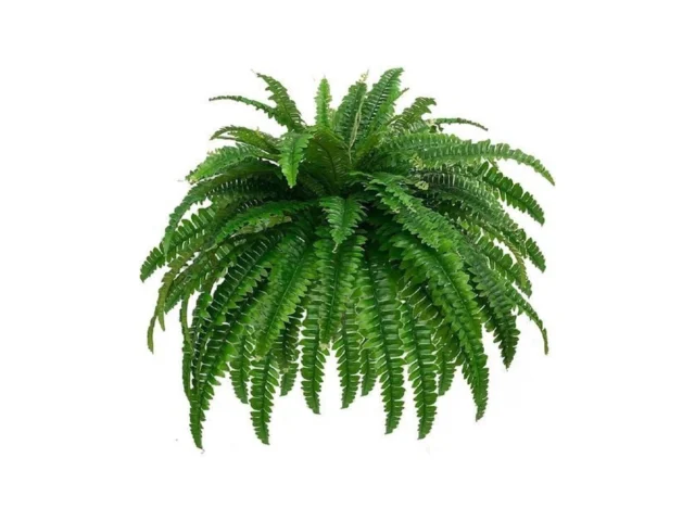 Gyerb Large Fake Boston Ferns 88 Branches… Code