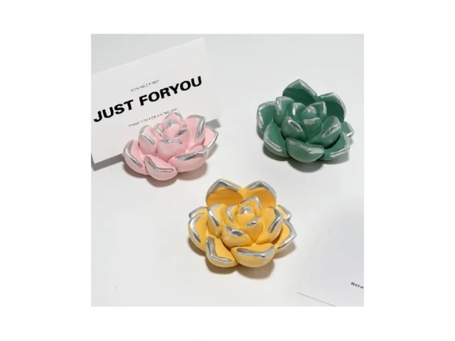 Wowhalolo Resin Cute Succulent Business Card Holder… Code