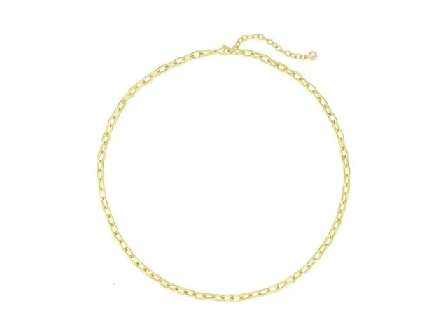 Beneige Gold Necklace For Women 14k Gold Plated… Code