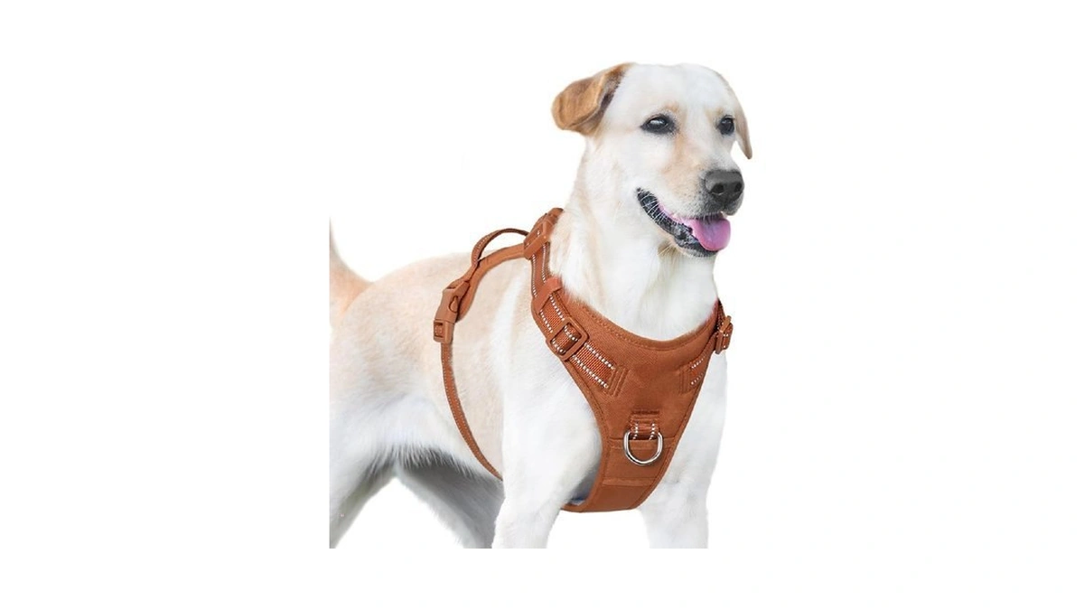 Verified image for post 216317