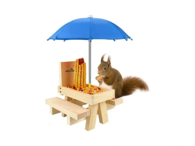 Mixxidea Squirrel Feeder Table With Umbrella Wooden… Code