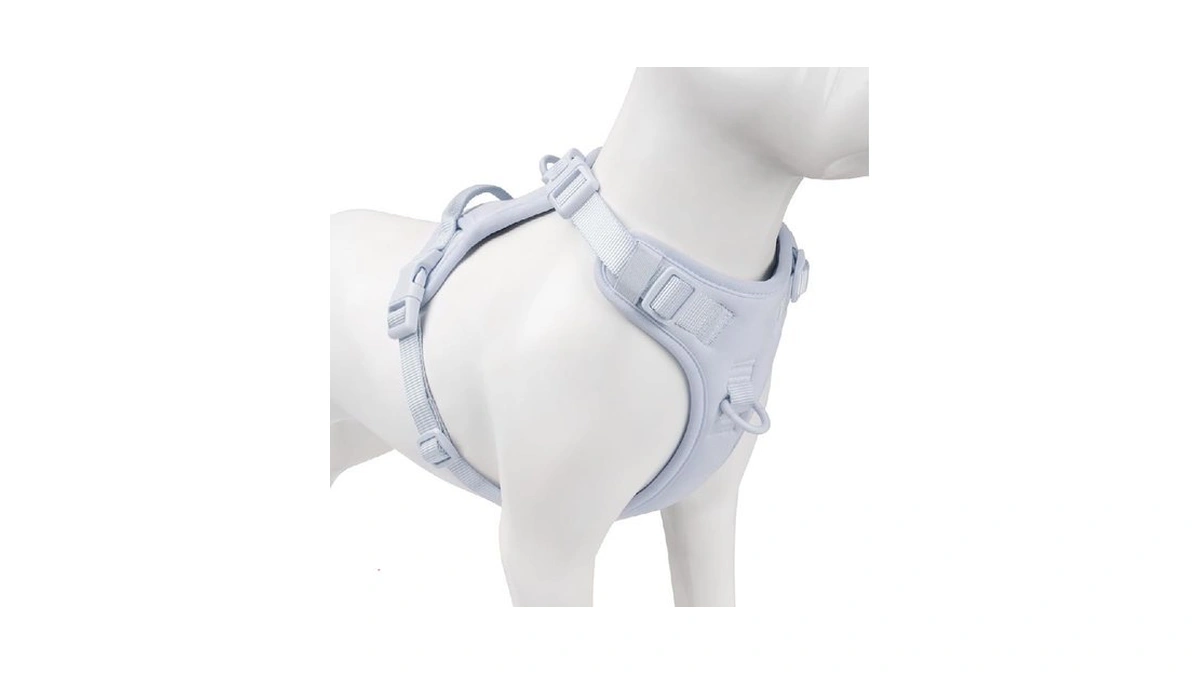 Verified image for post 216750