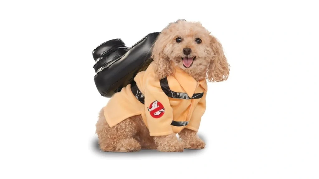 Verified image for post 217298