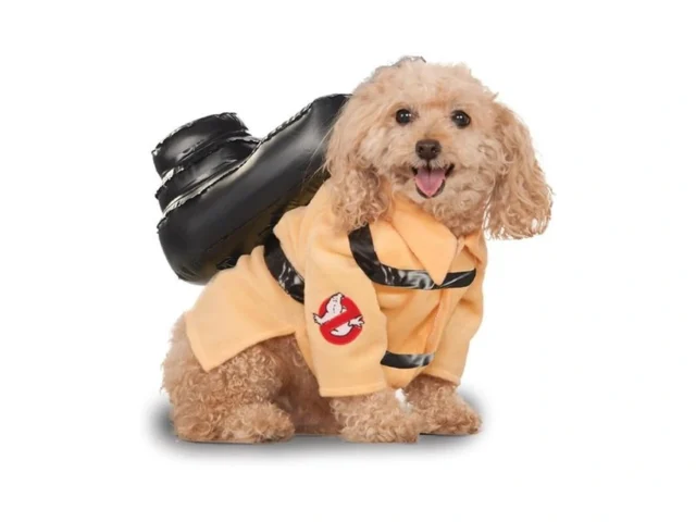 Ghostbusters Ghostbusters Pet Costume For For Dogs… Coupon
