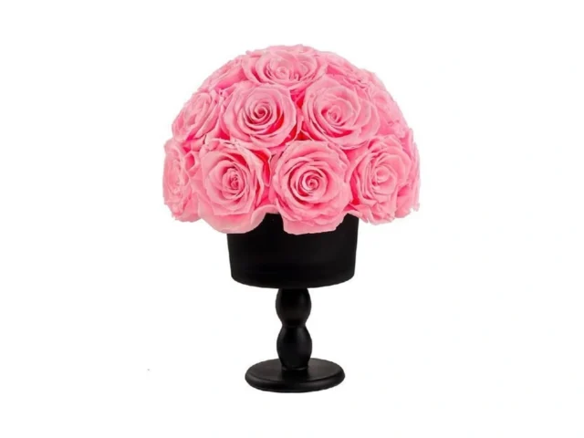 Eternal Rose Dome With Vintage Pedestal 23 Forever… Code