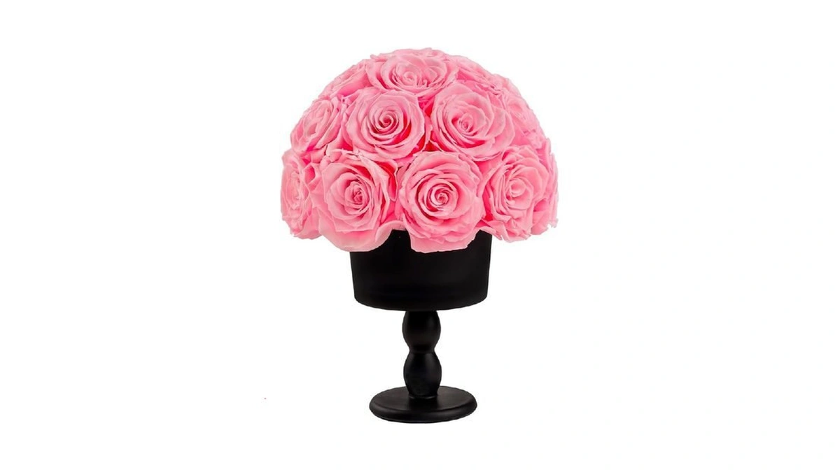 Verified image for post 217306