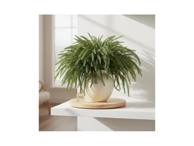 Itoids Artificial Norfolk Pine Branches 12 Pack 18… Code
